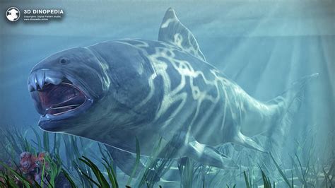 Dunkleosteus .